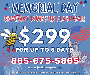 driveway dumpster flash sale