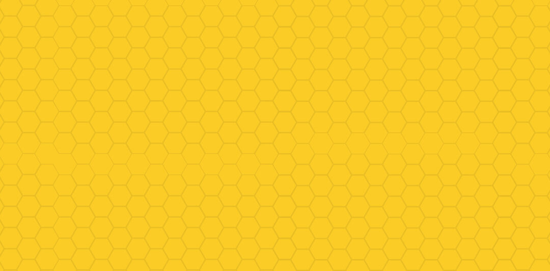 Junk Bee Gone