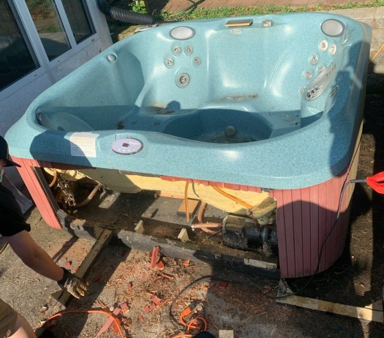 Junk Bee Gone