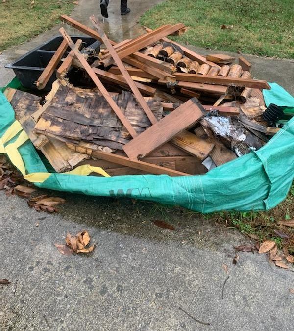 Junk Bee Gone