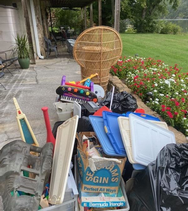 Junk Bee Gone
