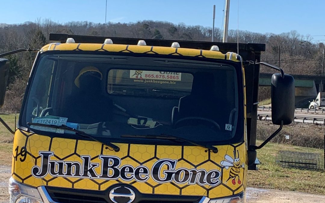Junk Bee Gone