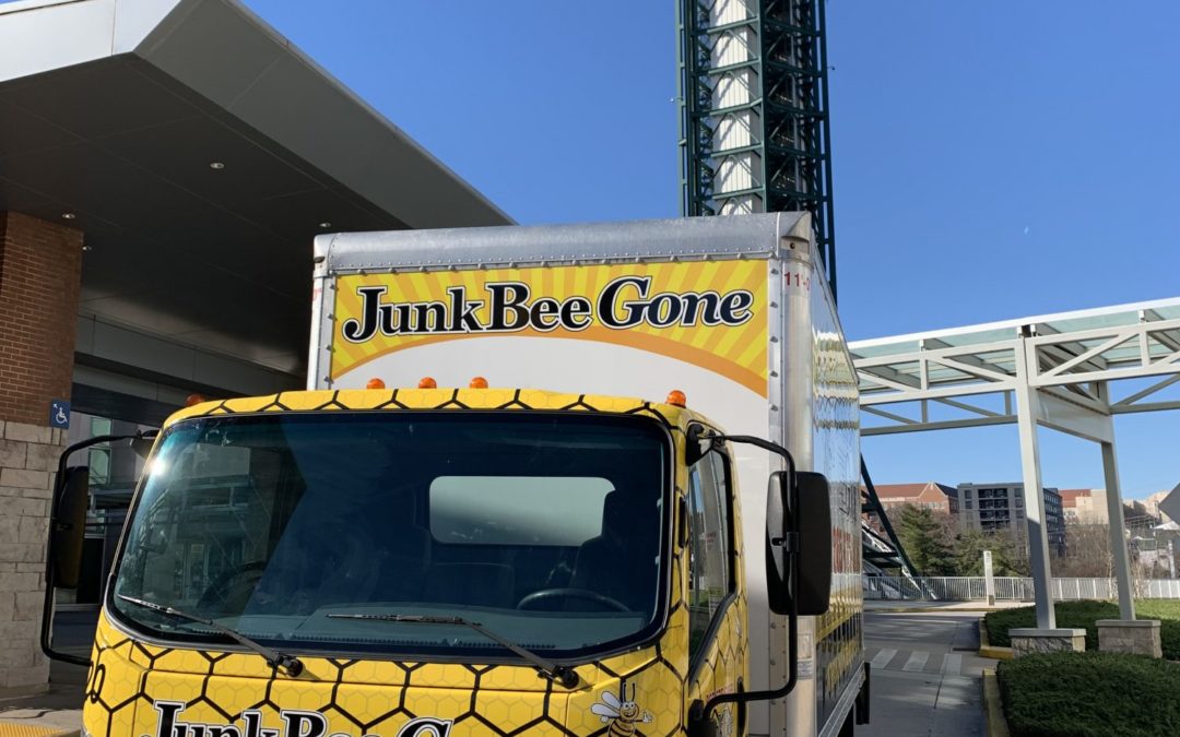 Junk Bee Gone