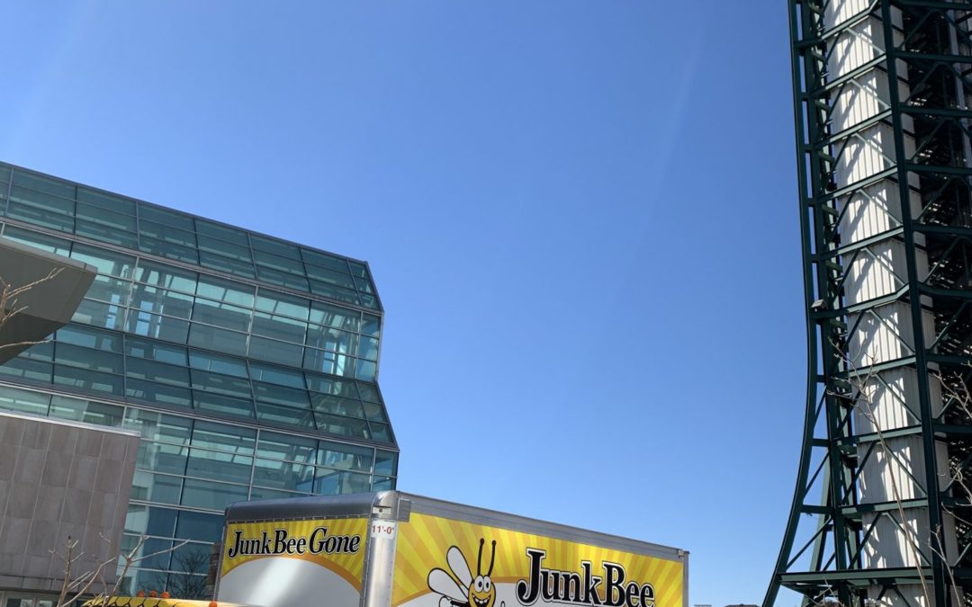 Junk Bee Gone