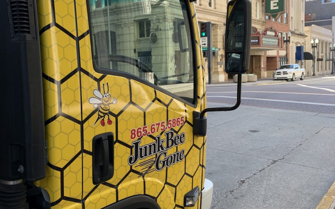 Junk Bee Gone