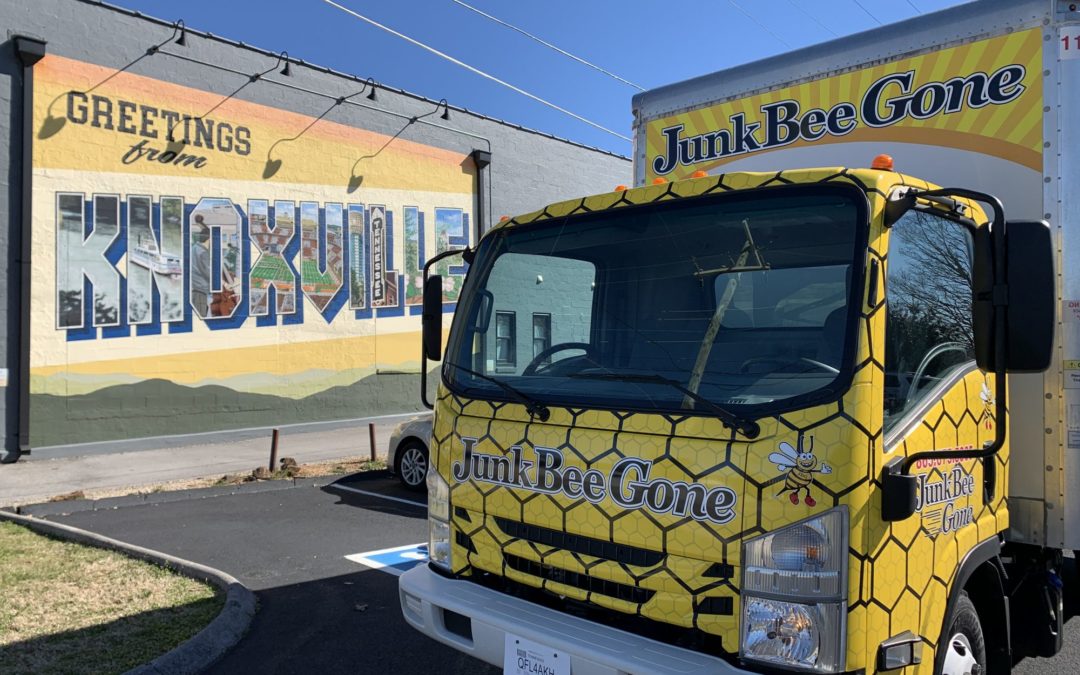 Junk Bee Gone