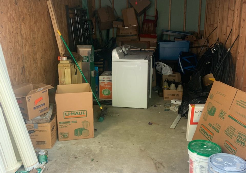 Junk Bee Gone