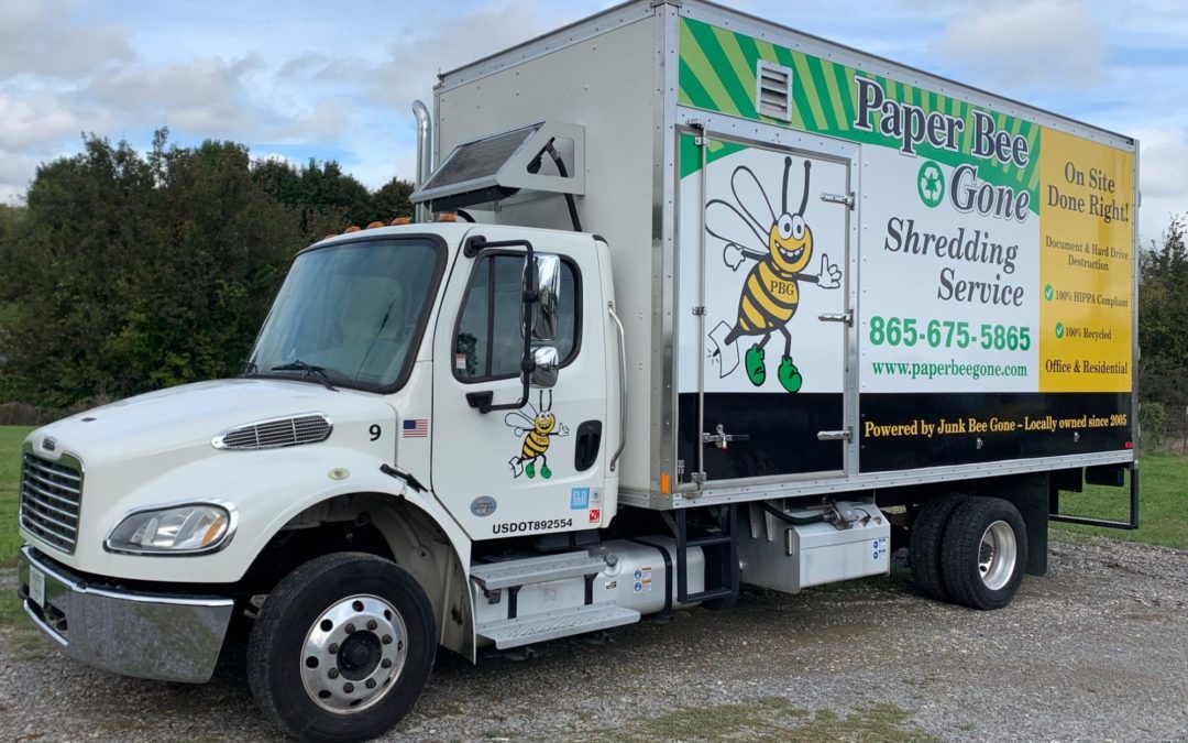 Junk Bee Gone