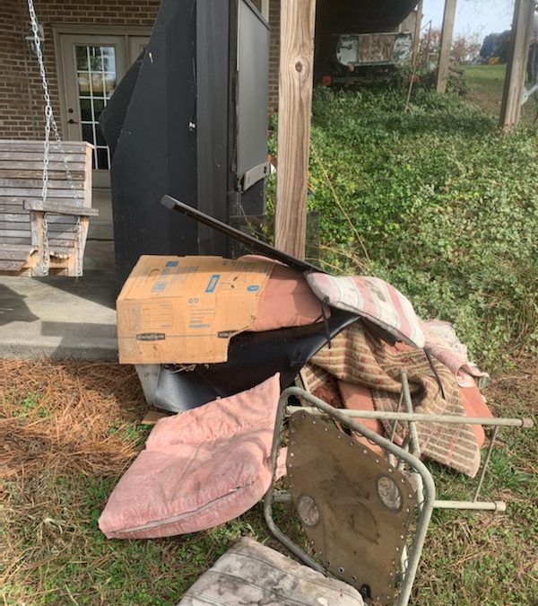 Junk Bee Gone