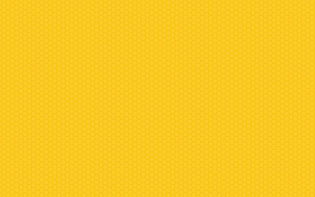Junk Bee Gone