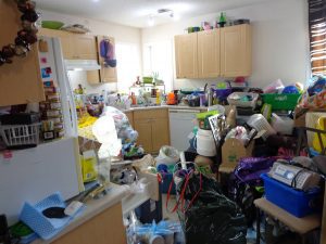 This image is by Junk Bee Gone.